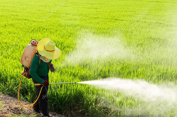 專業的技術團隊